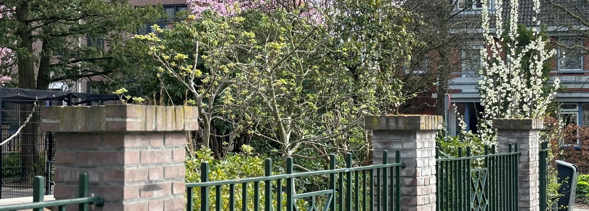 Hek bij school